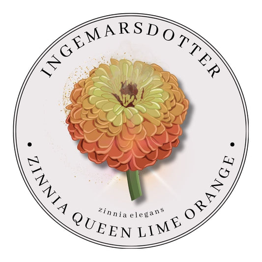 Zinnia Queen Orange Lime
