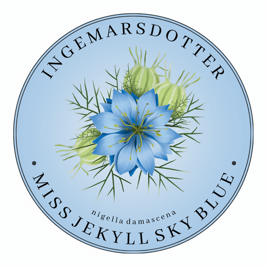 Nigella miss jekyll sky blue blå jungfrun i det gröna