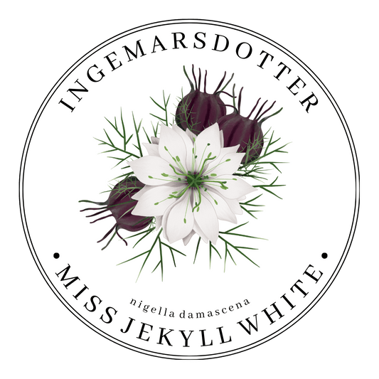 Nigella Miss Jekyll white green pod Jungfrun i det gröna vit