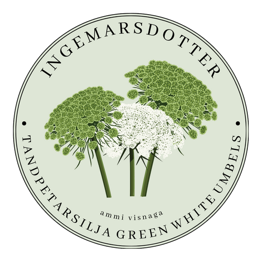 Tandpetarsilja green white umbels