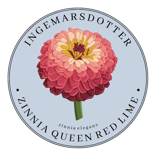 Zinnia queen lime red Ingemarsdotter