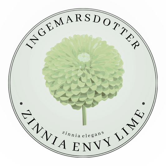 zinnia envy lime