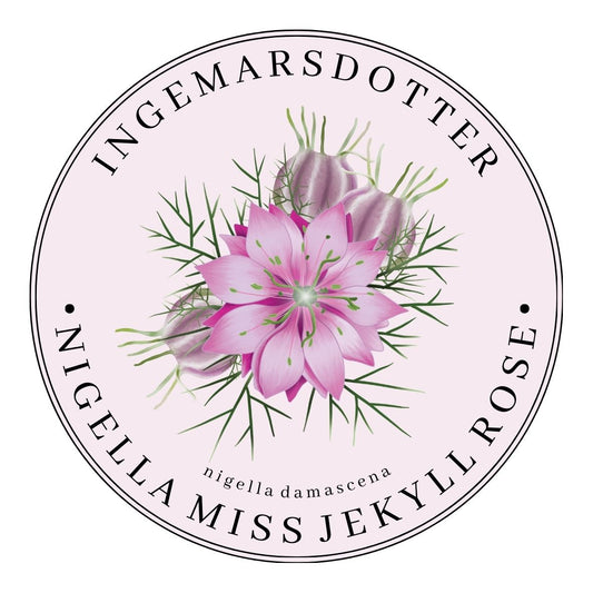 Nigella miss jekyll rose