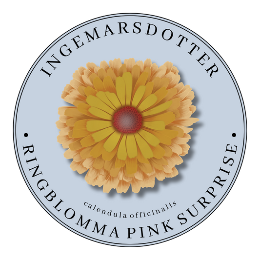 Ringblomma
