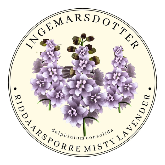 romersk riddarsporre