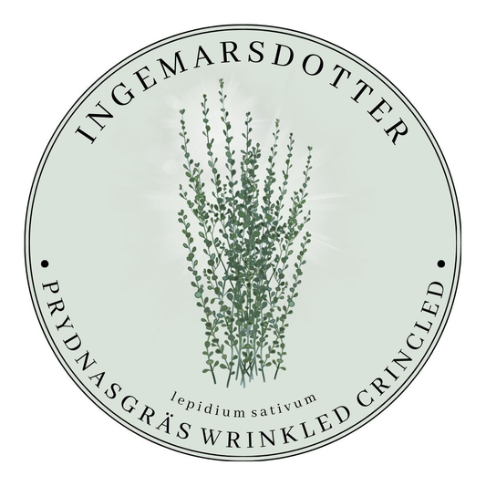 Sticks - utfyllnad till bukett Ingemarsdotter