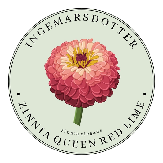 Zinnia gueen red lime