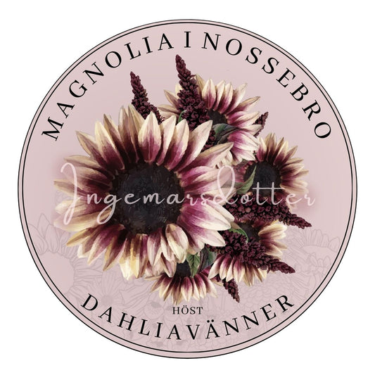Dahliavänner HÖST – i samarbete med Magnolia i Nossebro