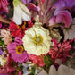 Zinnia Polar Bear (storpack)