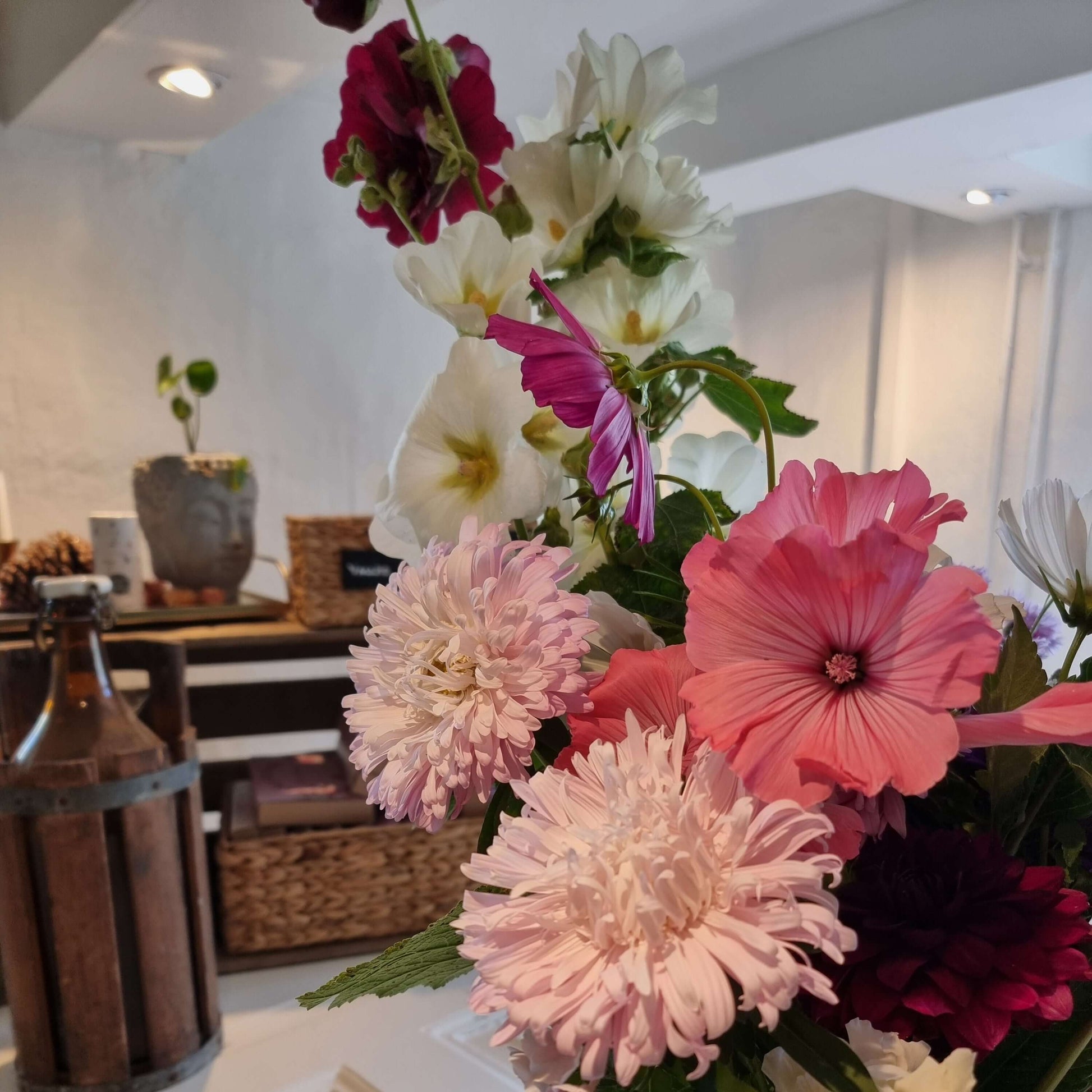 Malva silver cup Ingemarsdotter