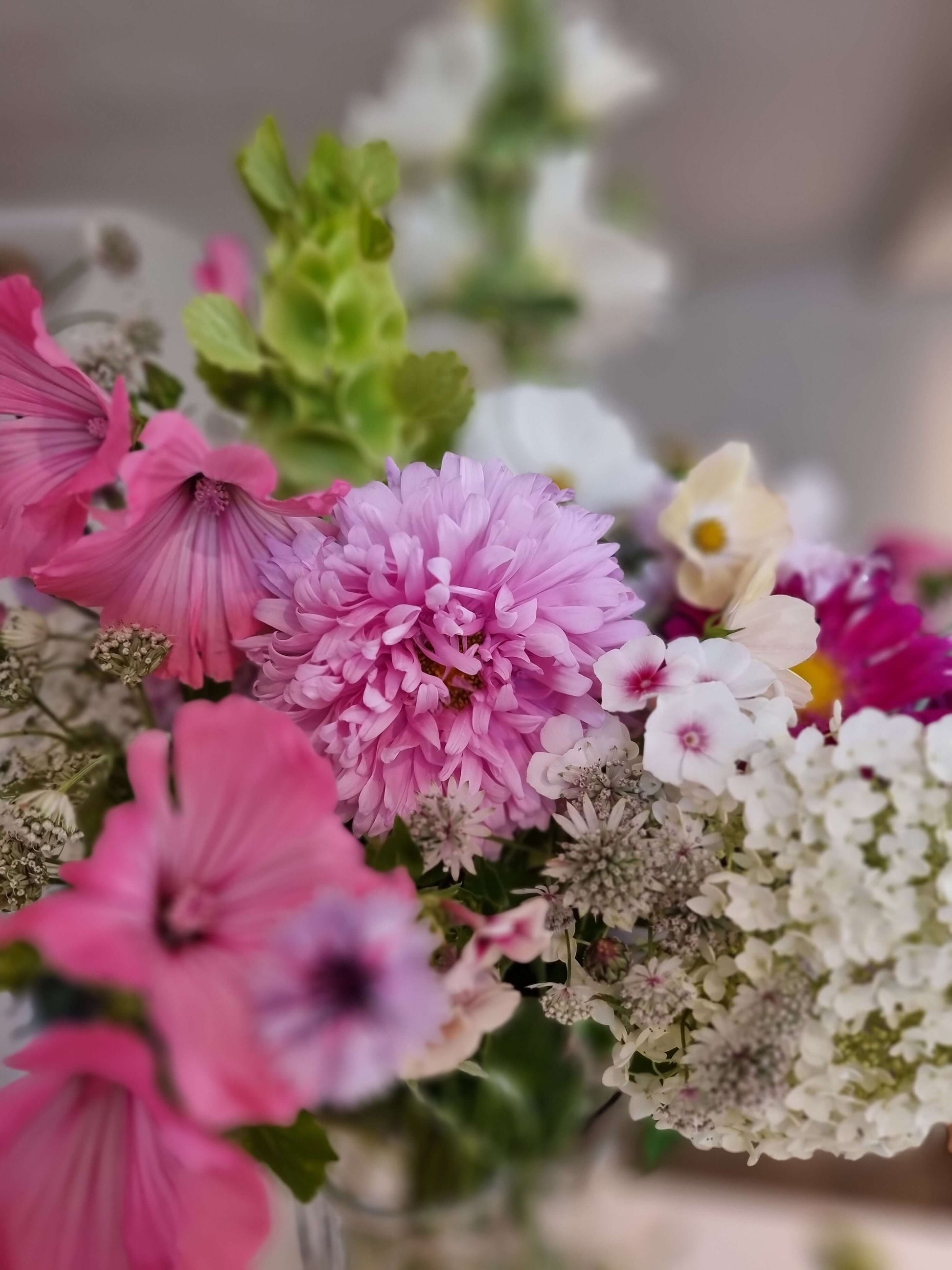 Malva silver cup