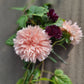 Aster King size apricot