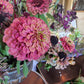 Zinnia Queen red lime