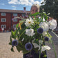 Blå bolltistel