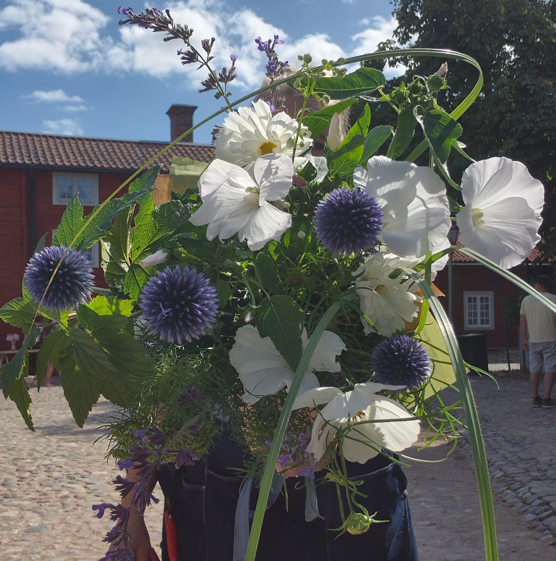 Blå bolltistel