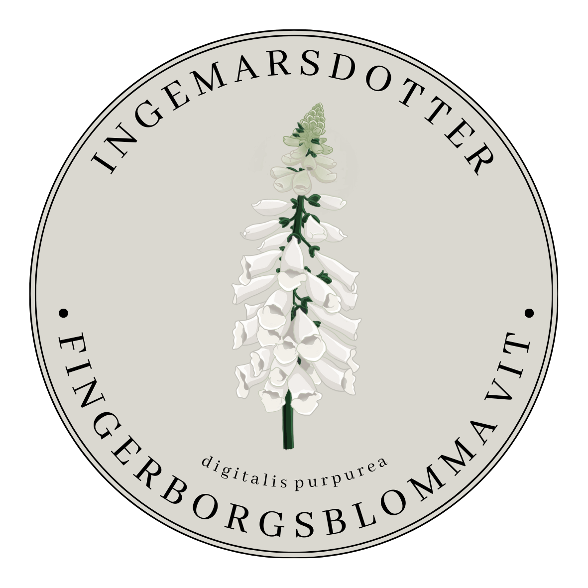 Fingerborgsblomma vit