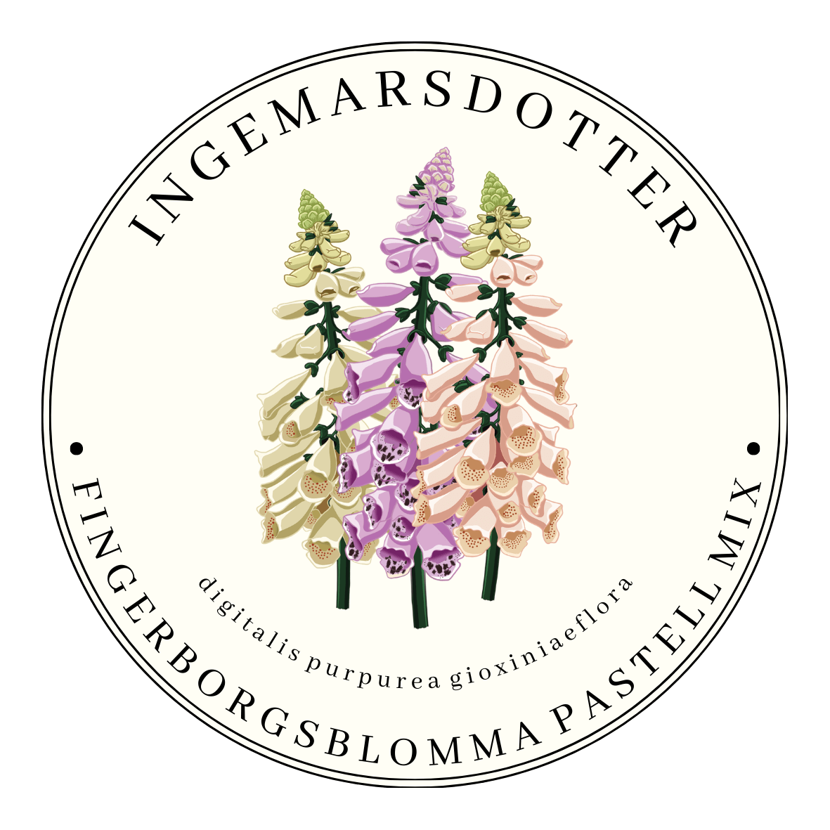 Fingerborgsblomma pastel shadesmix