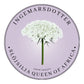 Slöjsilja Quenn of Africa
