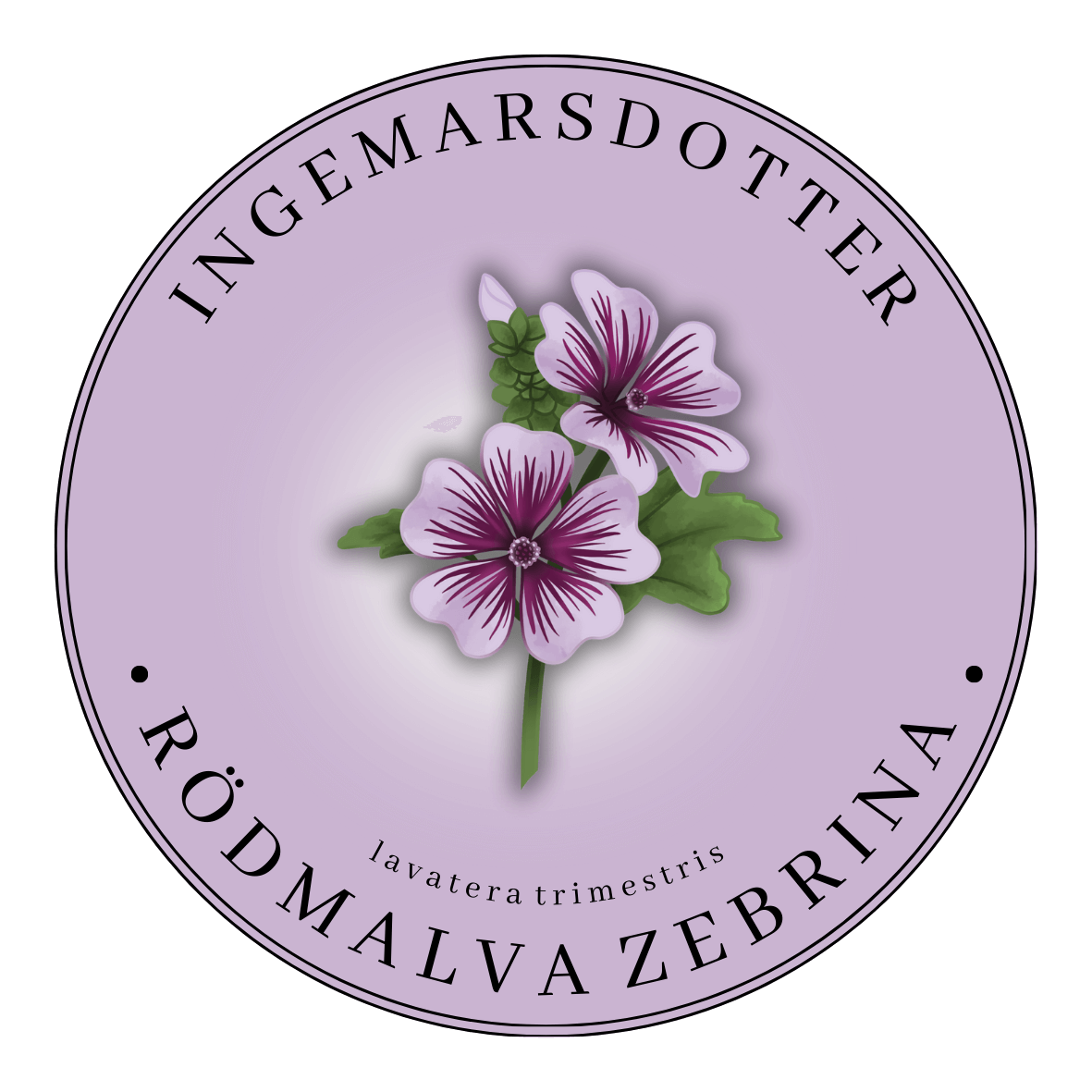 Malva Zebrina