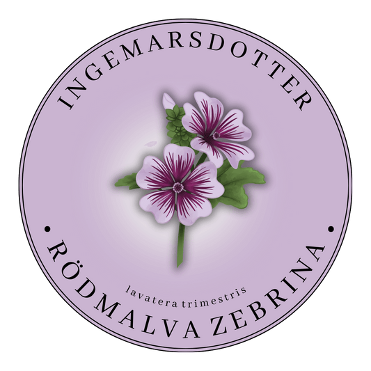 Malva Zebrina