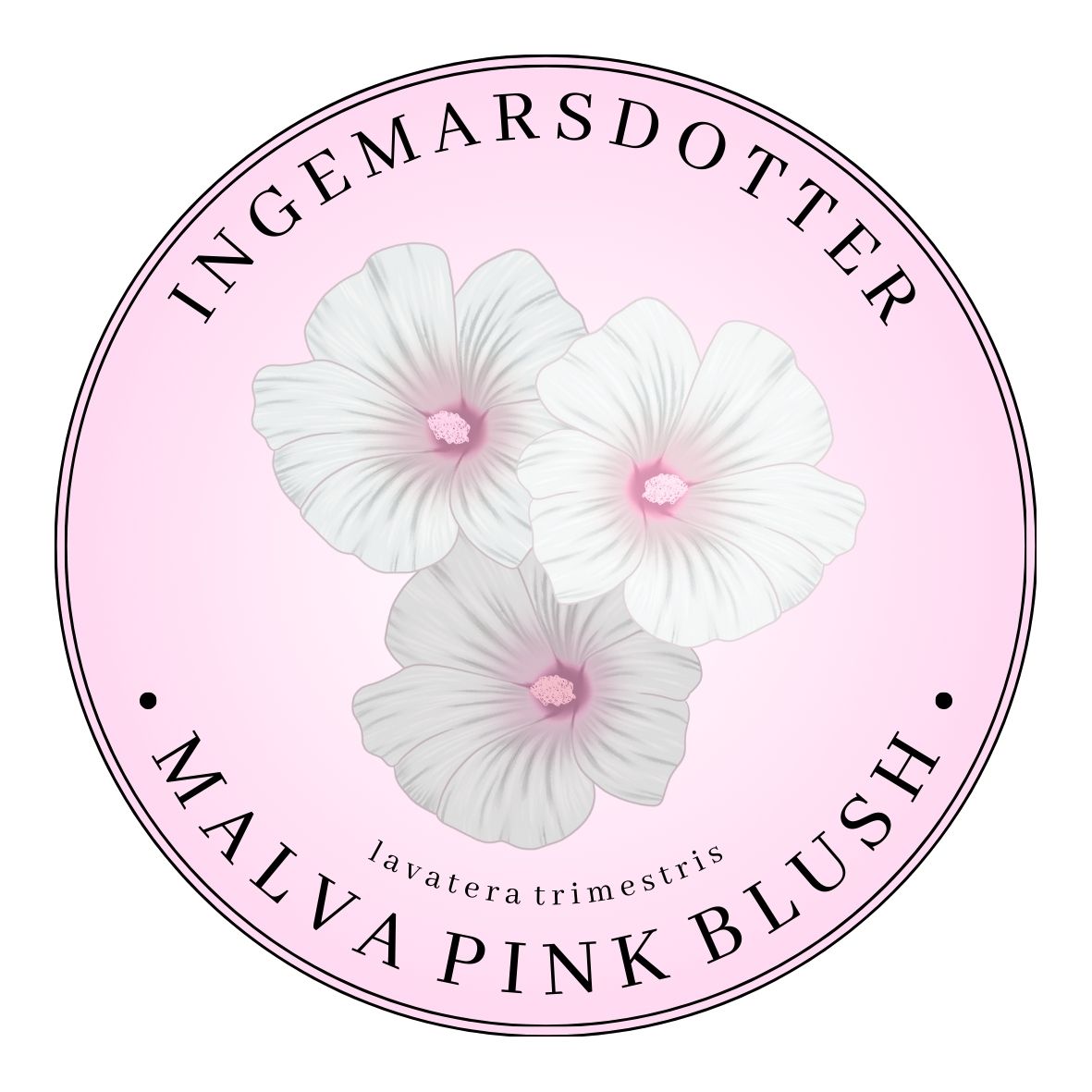 Sommarmalva Pink Blush