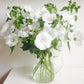 Sommarmalva Mont Blanc