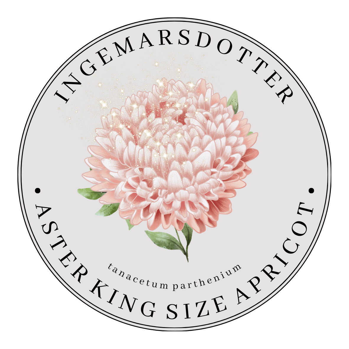 Sommaraster King size apricot