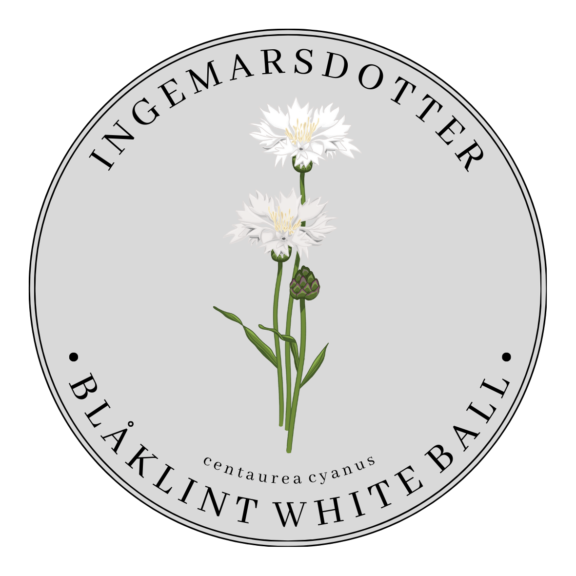 Blåklint White Ball