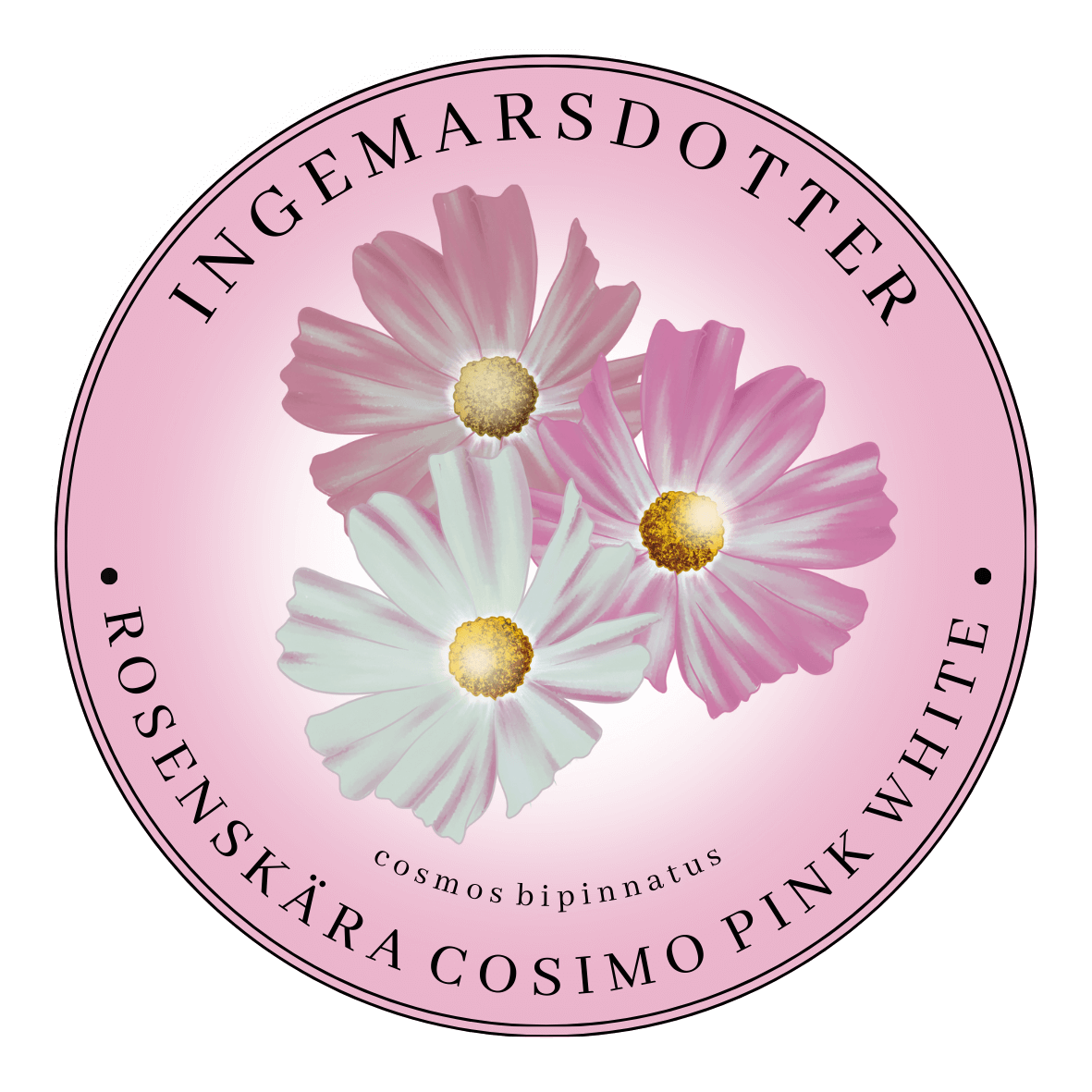 Rosenskära Cosimo Pink white