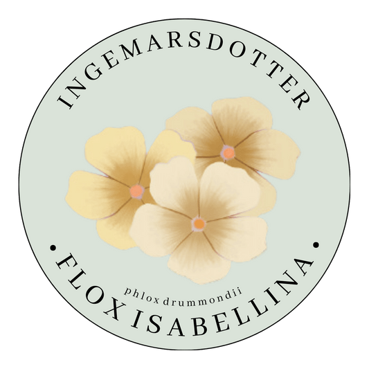 Flox Isabellina