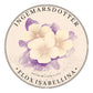 Phlox Drummondii Isabellina