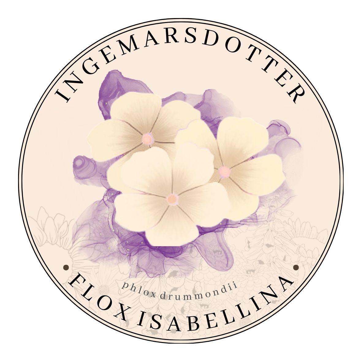 Phlox Drummondii Isabellina