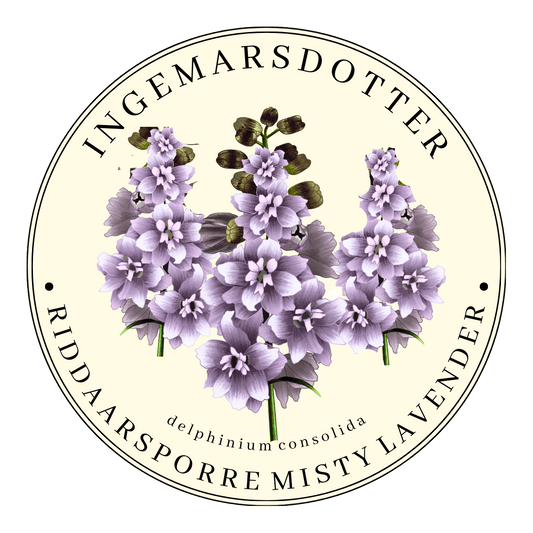 Romersk riddarsporre Misty Lavender
