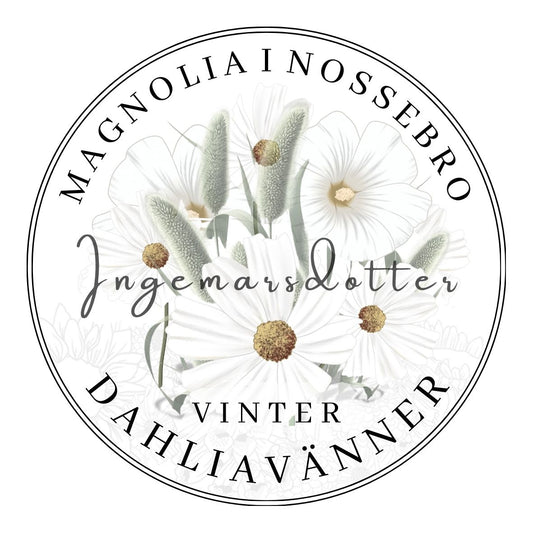 Magnolia i Nossebro dahliavänner plantera dahlia