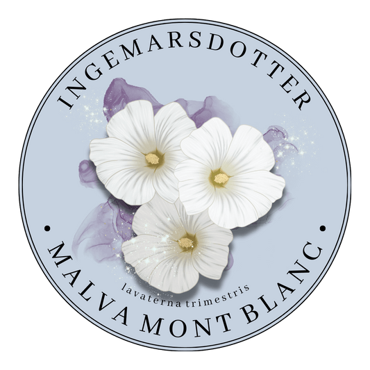 Malva Mont blanc