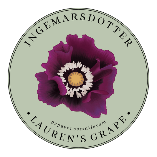 Laurens grape vallmo lila lauren's