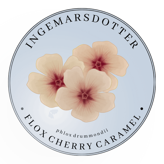 Flox cherry caramel