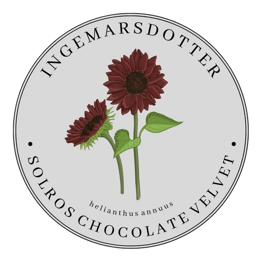Solros Chocolate Velvet Ingemarsdotter