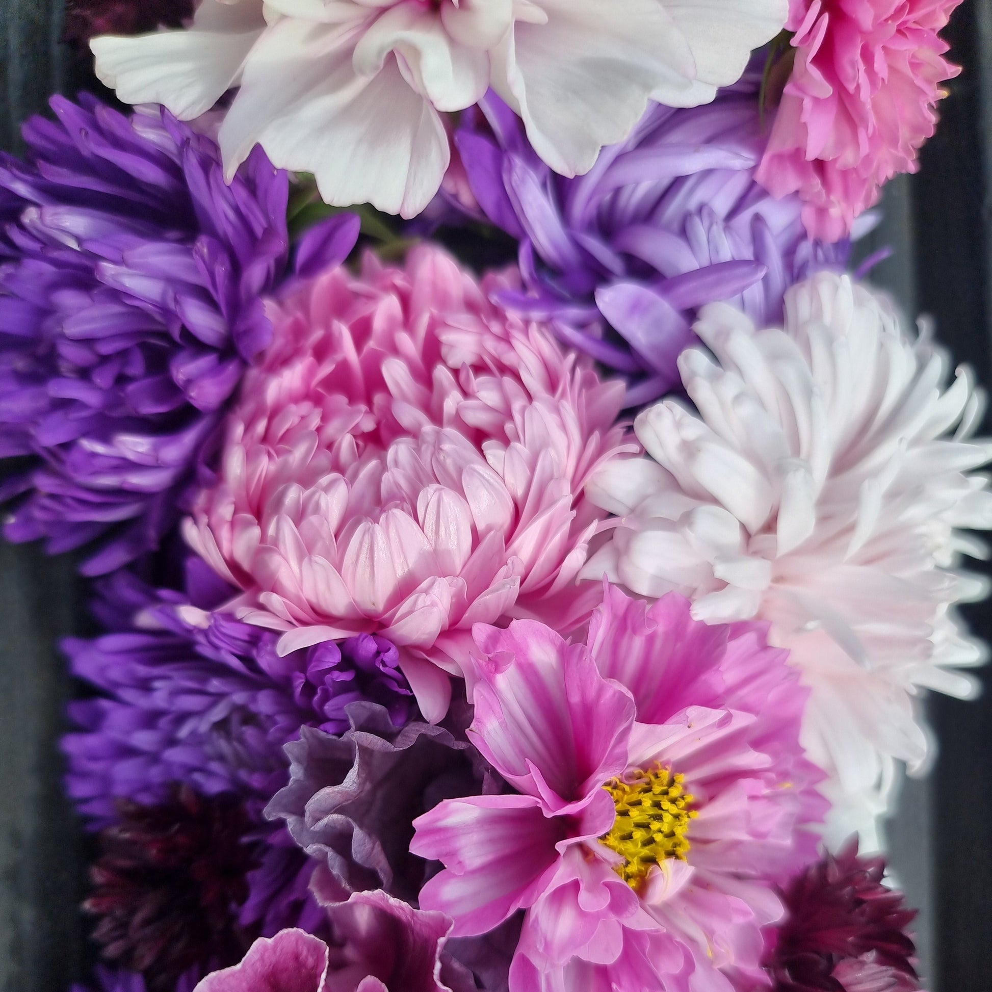 Sommaraster King size mix