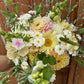 Sommarflox Blushing Bride