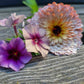 Sommarflox och ringblomma Pygmy Buff