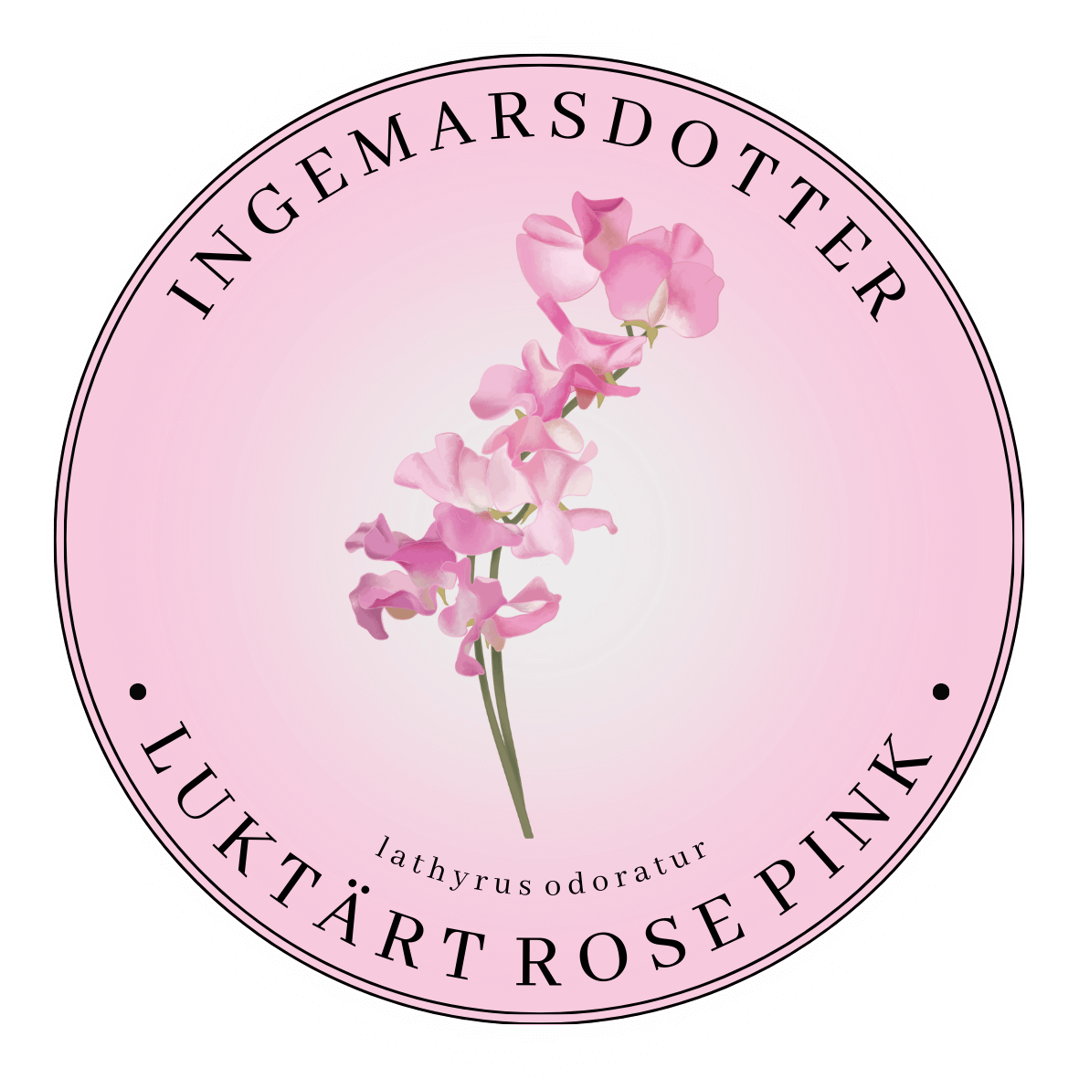 Luktärt mammoth rose pink
