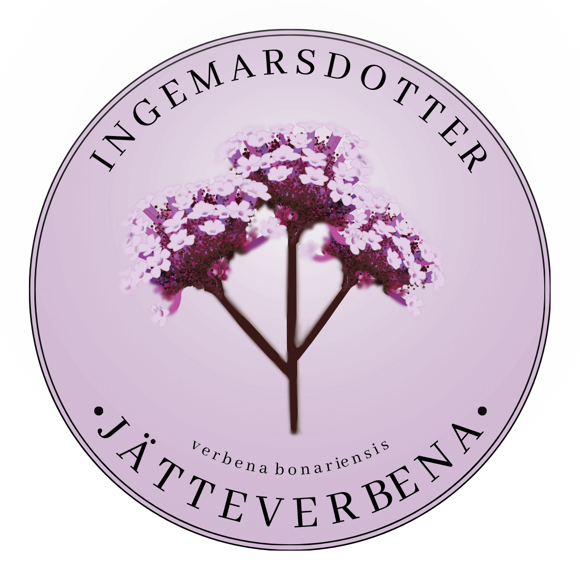 Jätteverbena vanity