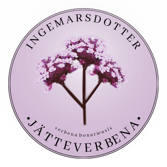 Jätteverbena vanity