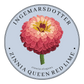 Zinnia queen lime red Ingemarsdotter