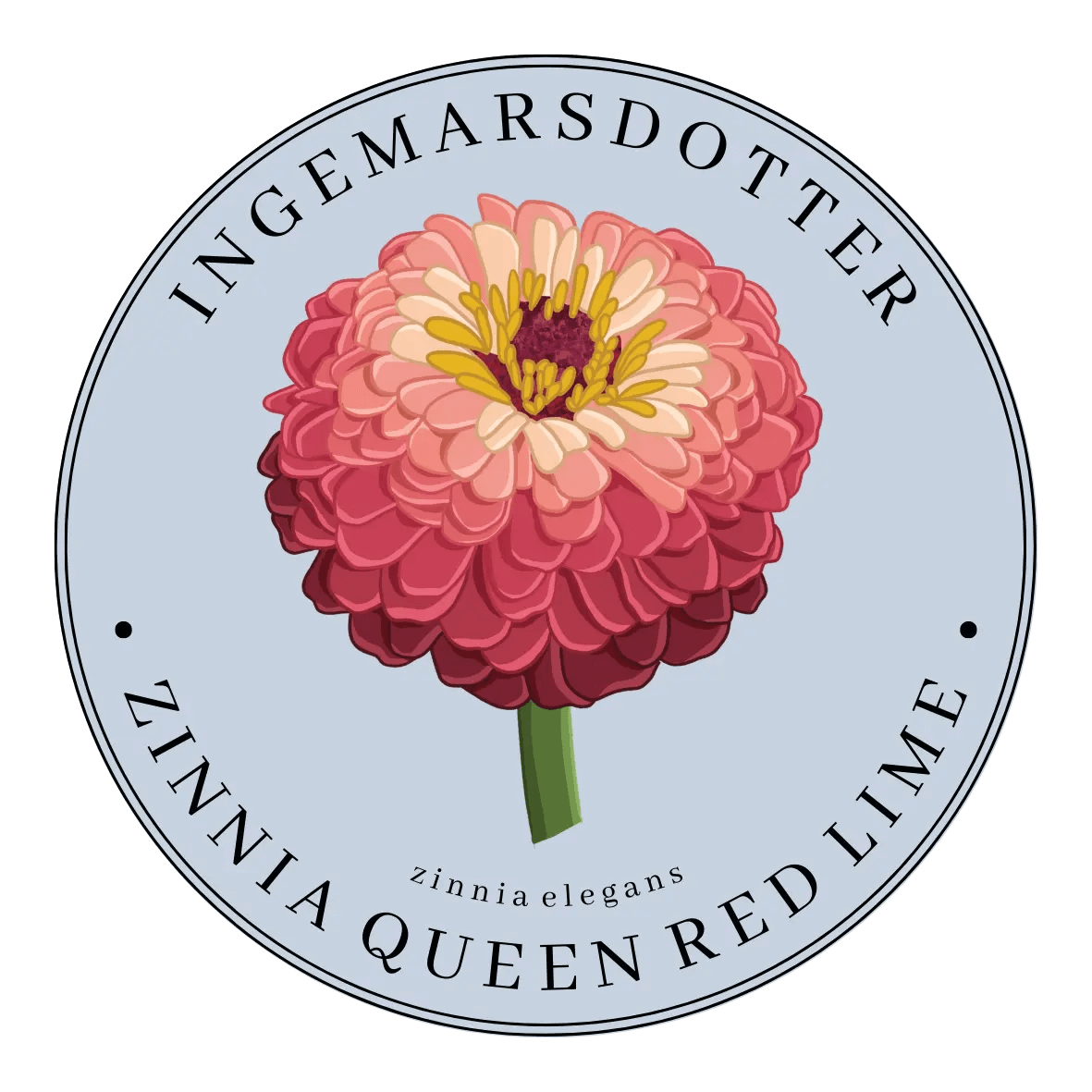 Zinnia queen lime red Ingemarsdotter
