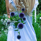 Julia Lindqvist bland blommor och glashus