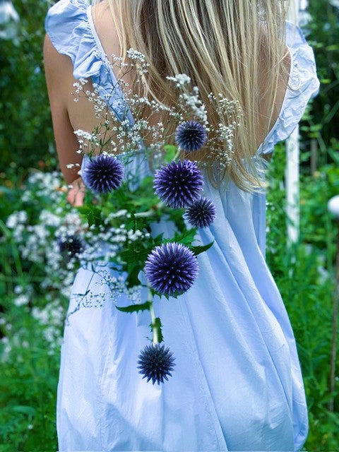 Julia Lindqvist bland blommor och glashus