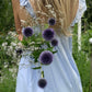 brudslöja och bolltistel bland blommor och glashus Julia Lindqvist