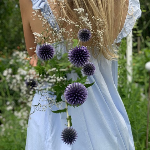 brudslöja och bolltistel bland blommor och glashus Julia Lindqvist